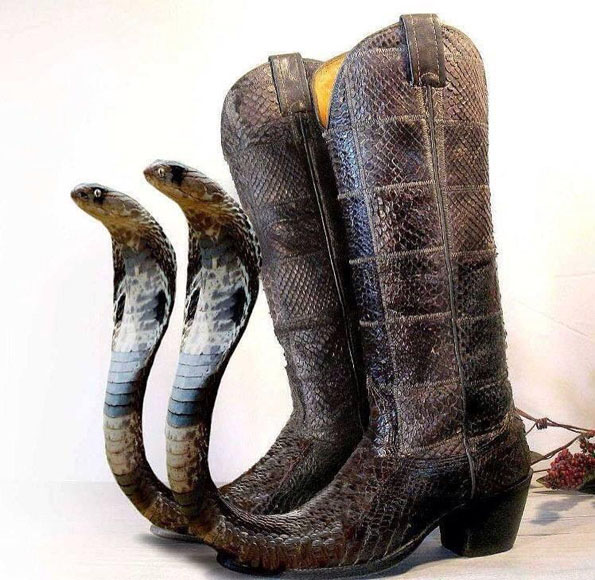 all-snake-cowboy-boots.jpg
