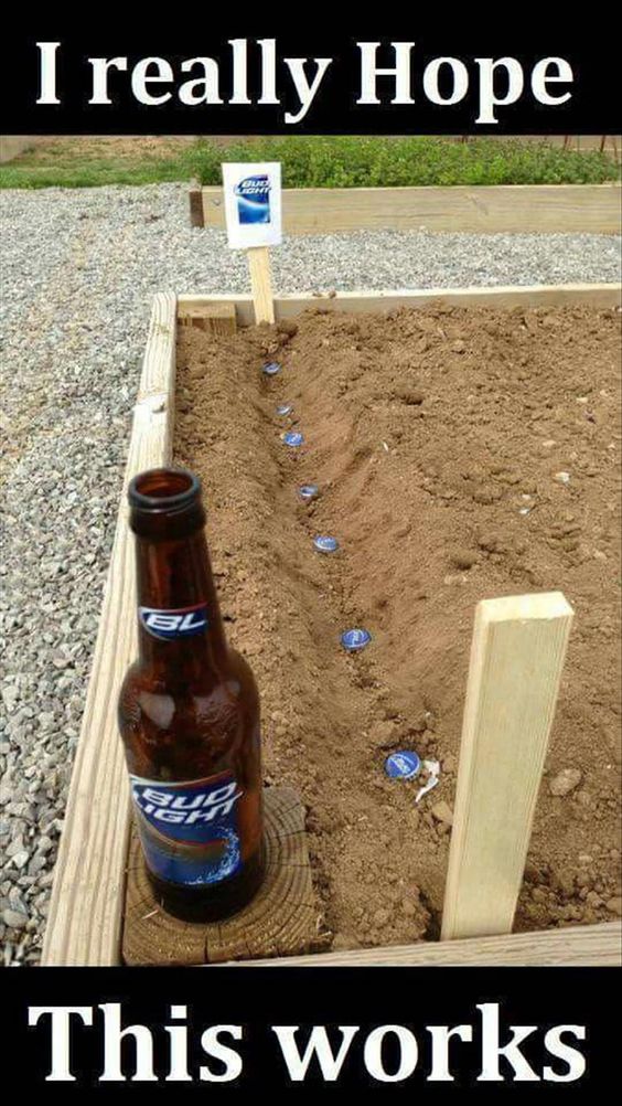 beer-planting.jpg