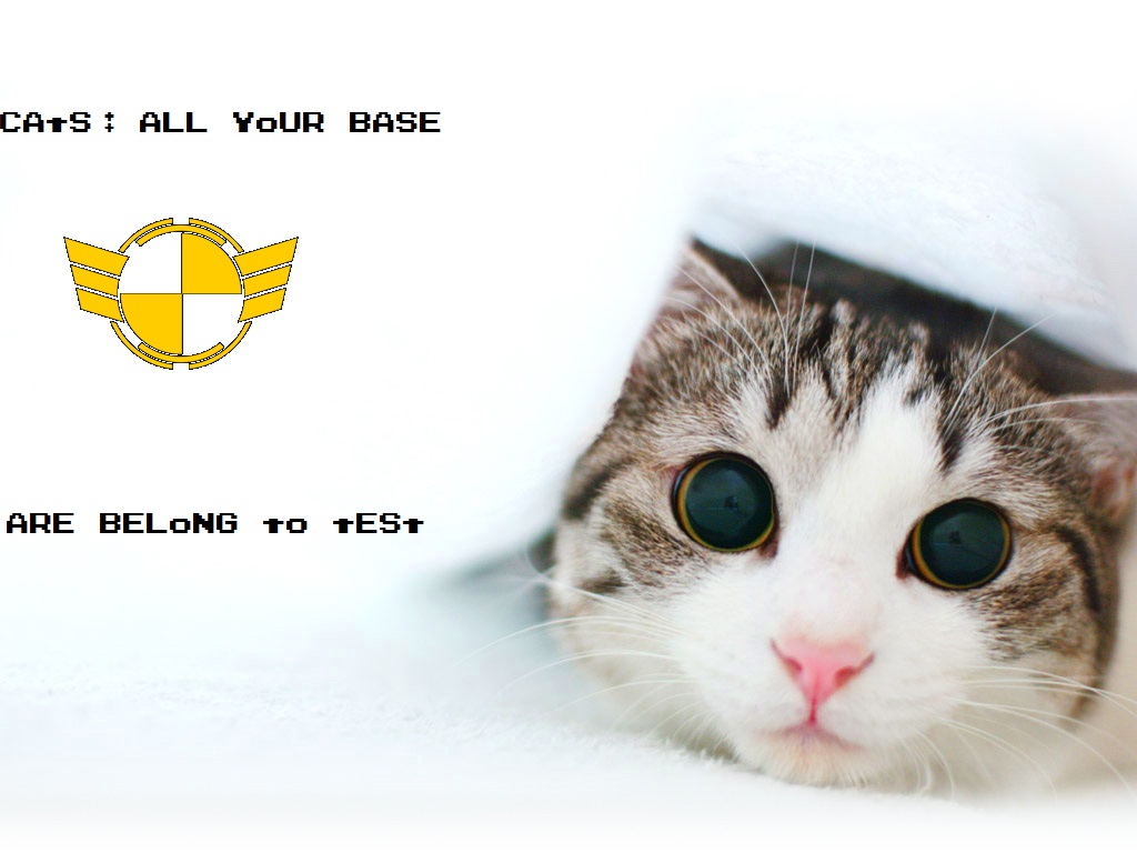 Cat for TEST SQUADRON.jpg