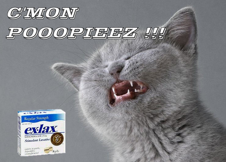 catmacroCMONPOOPIEZ.jpg