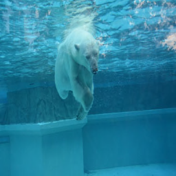 Chicago Polar Bear.png