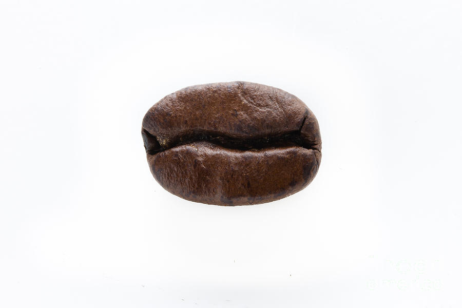 coffee-bean-michel-soucy (1).jpg