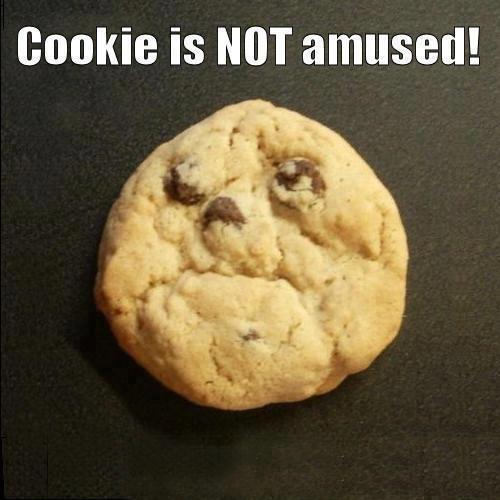 cookie-is-not-amused.jpg