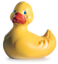 cryingduck1.jpg