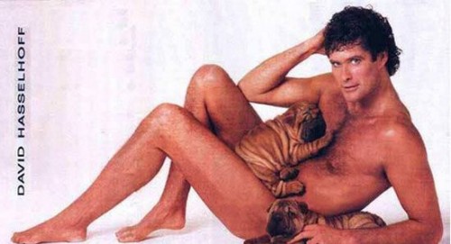 david-hasselhoff-hot-9.jpg