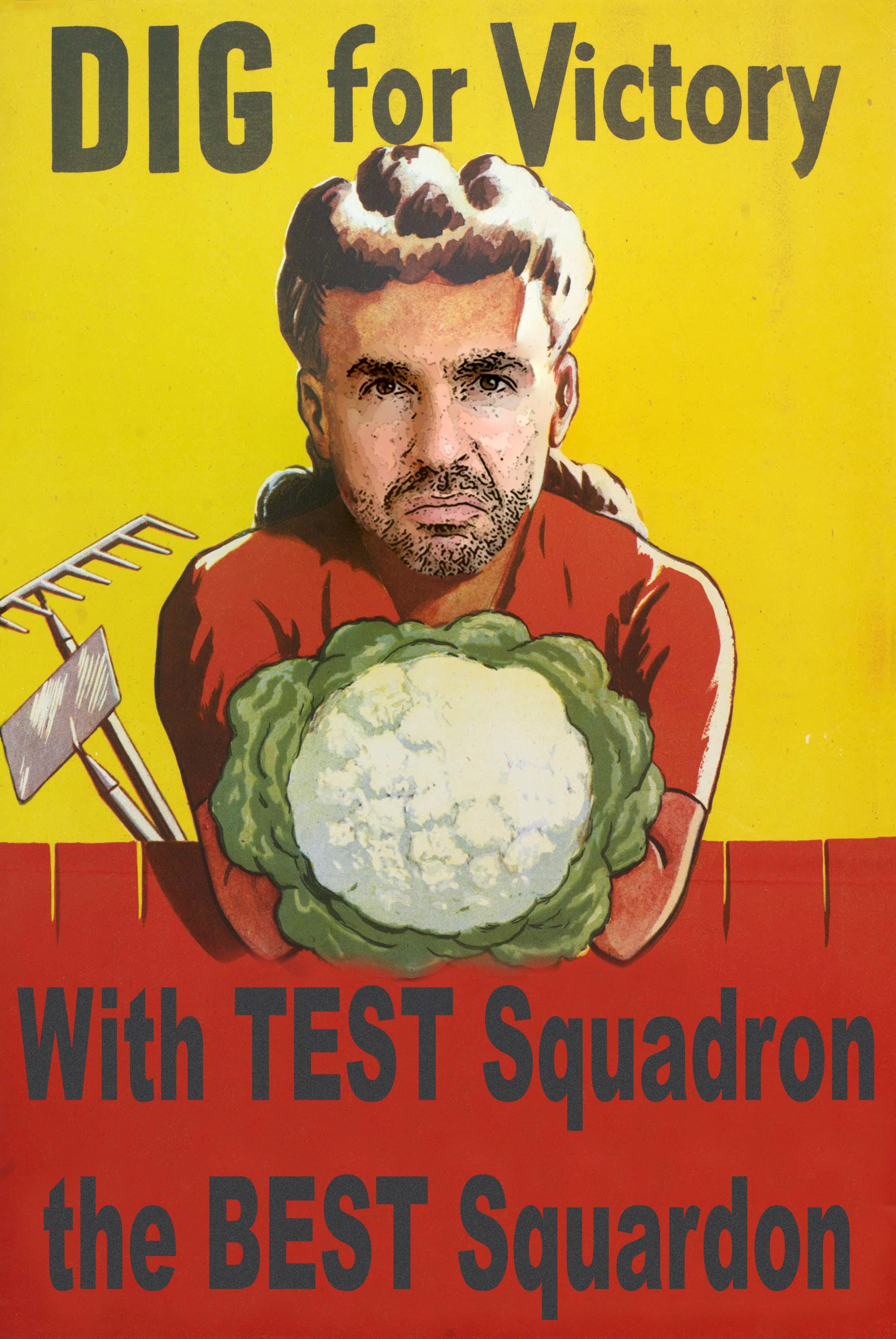 DigForVIctory.jpg