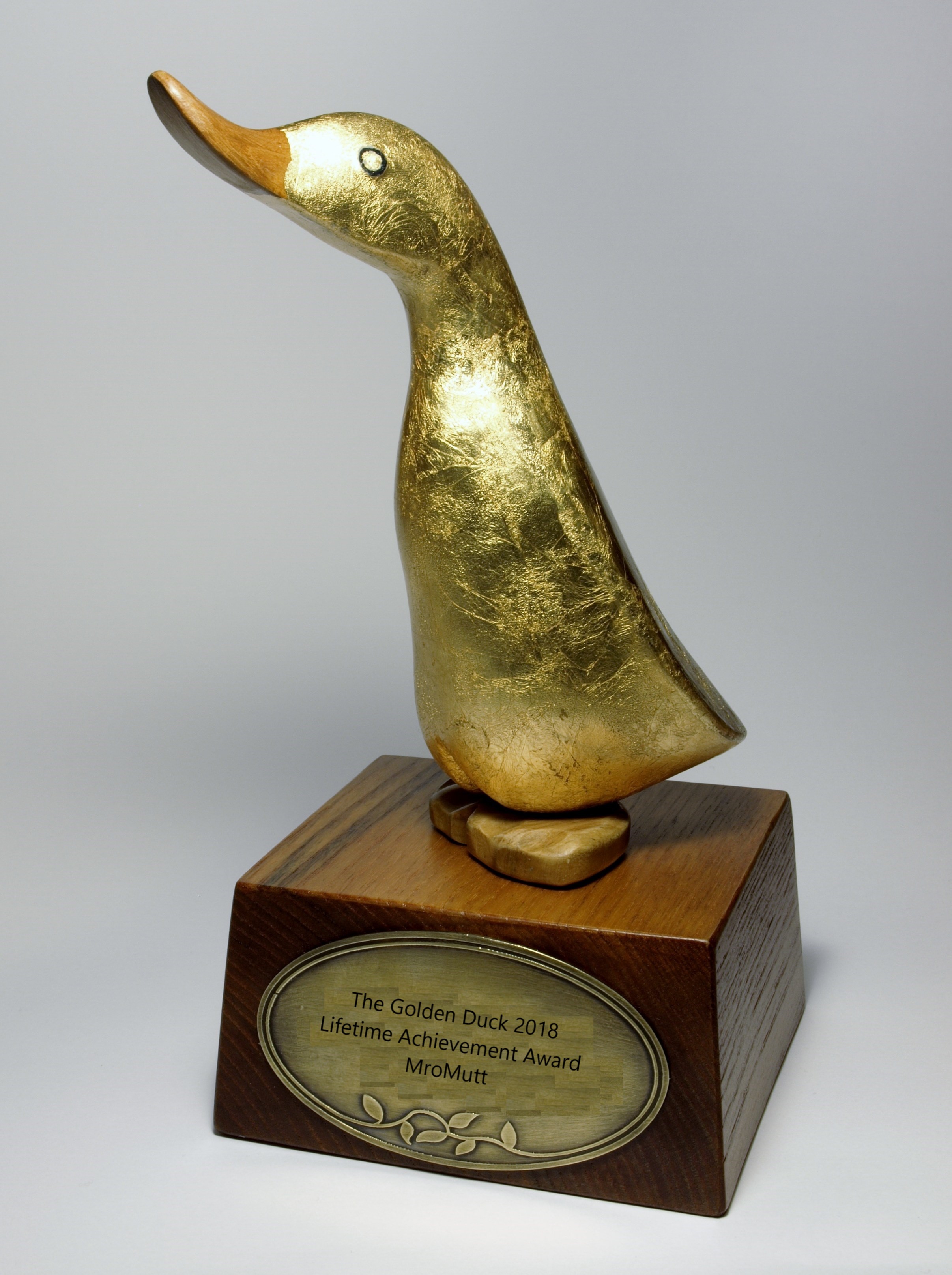 duck_award1.jpg