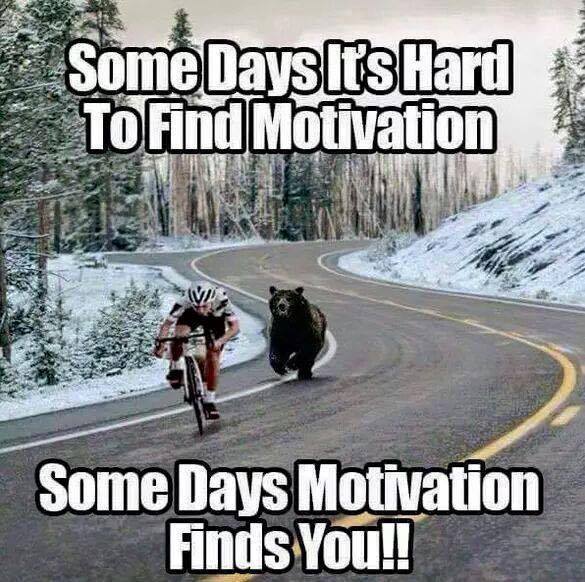 finding motivation.jpg