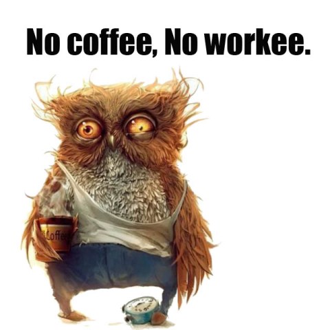 funny-pictures-no-coffee-no-workee.jpg