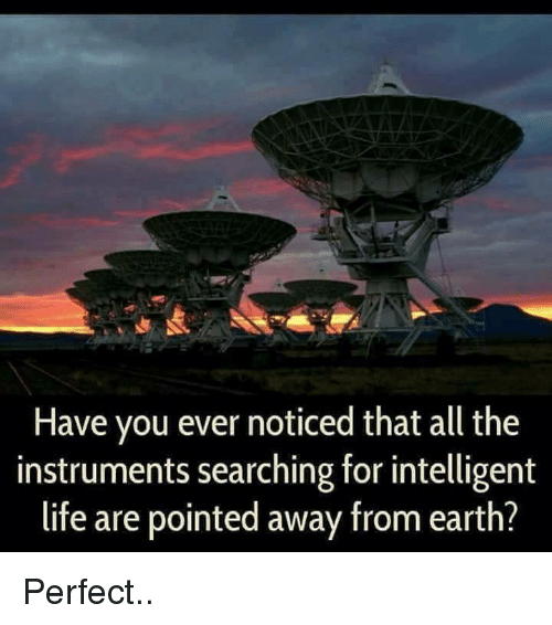 have-you-ever-noticed-that-all-the-instruments-searching-for-25006533.png