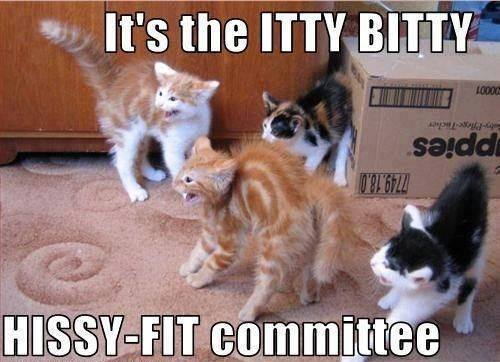 hissy fit committee.png