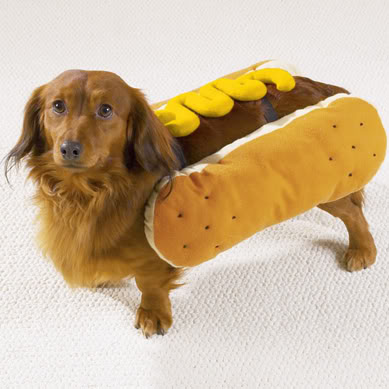 Hot-Dog---Mustard--small.jpg