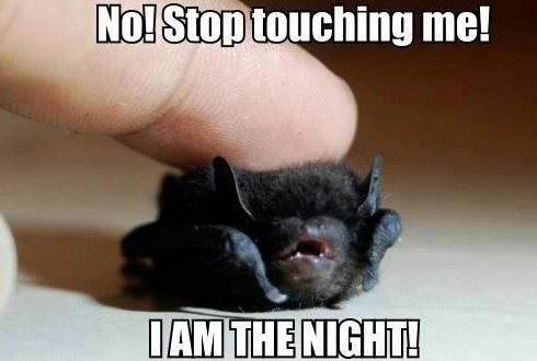 I AM THE NIGHT.png