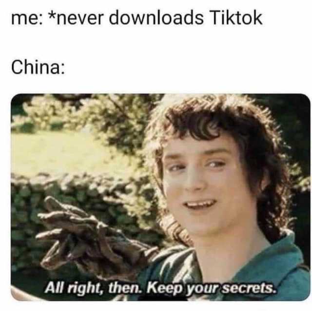 me-never-downloads-tiktok-china-all-right-then-keep-your-secrets-vaqZS.jpg