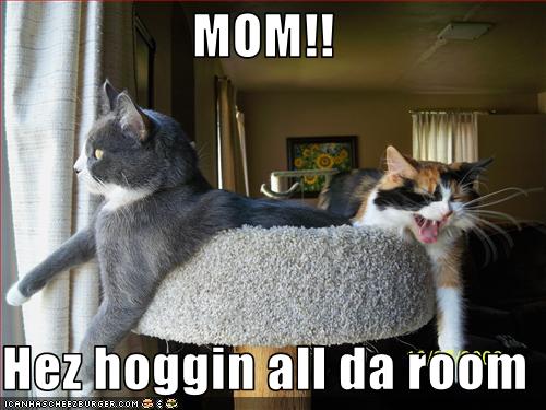 Mom hez Hoggin all da room.jpg