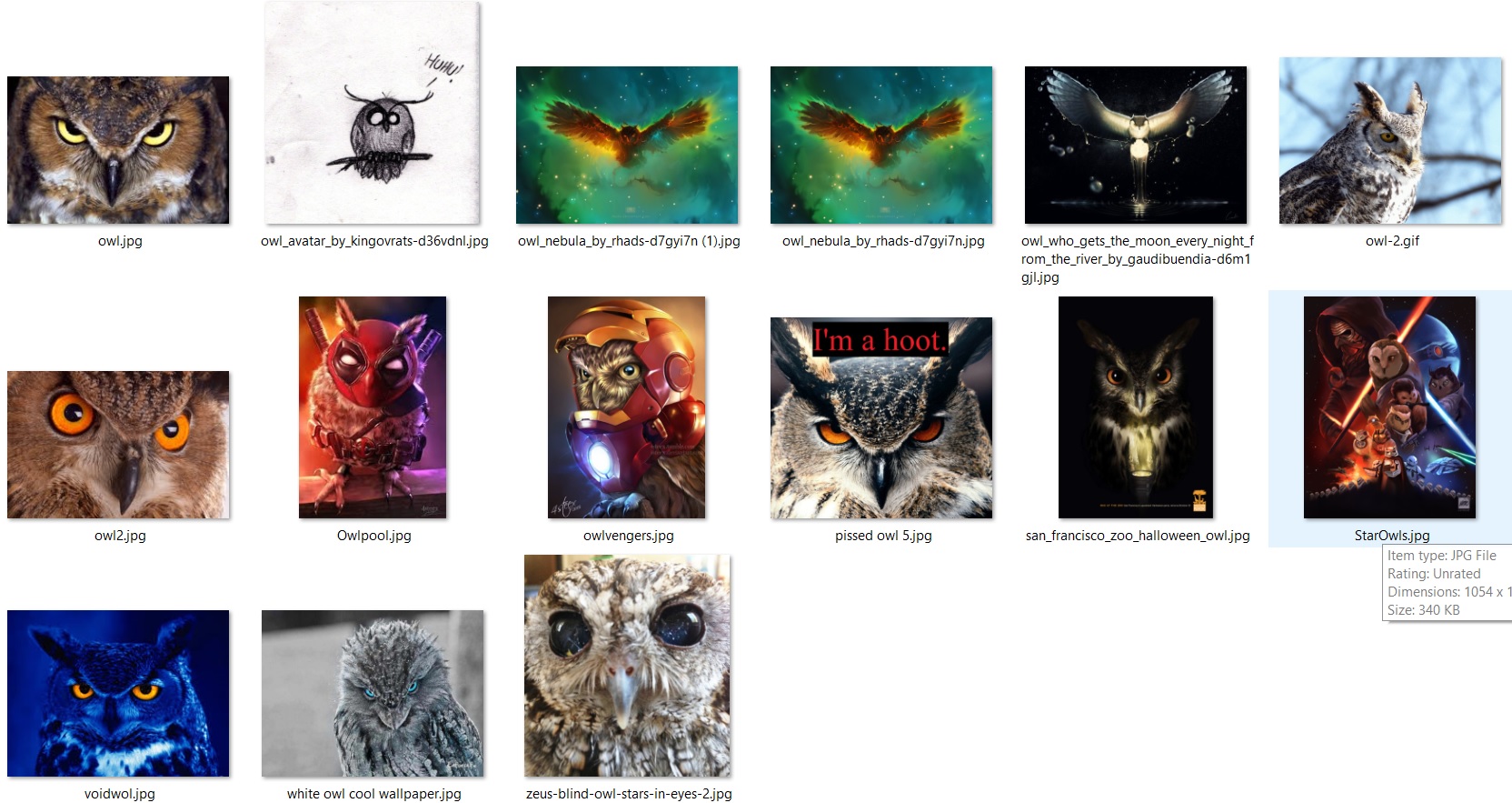 owls2.jpg