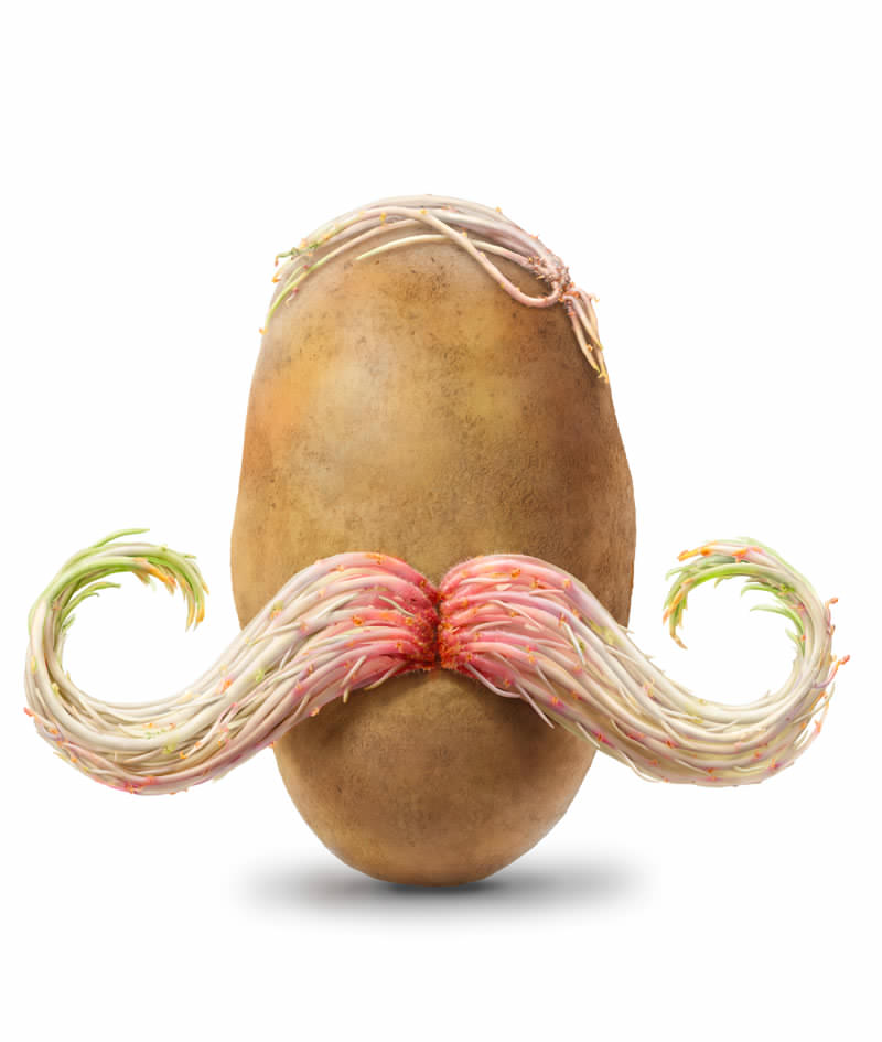 Potato-Mustache-final.jpg