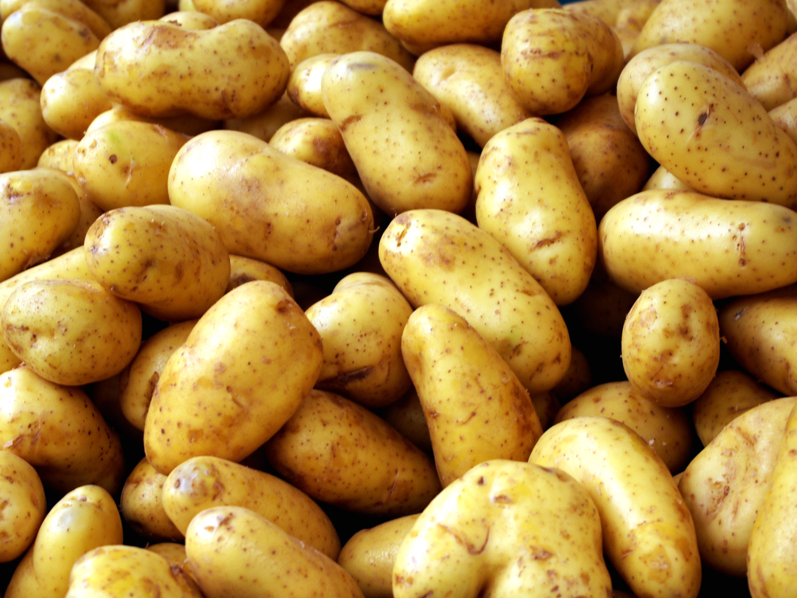 Potatoes.jpg