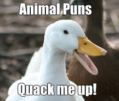 Quack me up.png