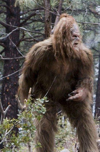 sasquatch.jpg