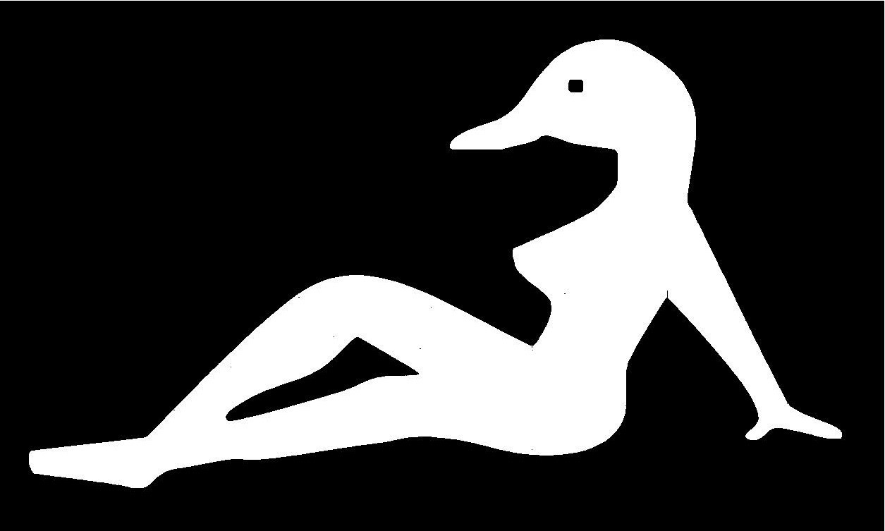 sexy_duck.jpg