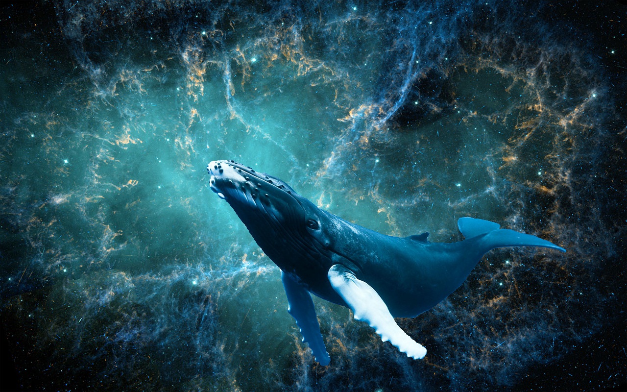 space whale.jpg