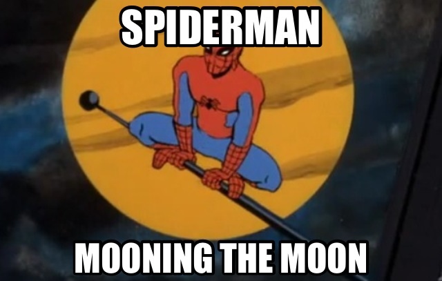 spiderman_meme__13_by_cultureghost-d73wjts.jpg