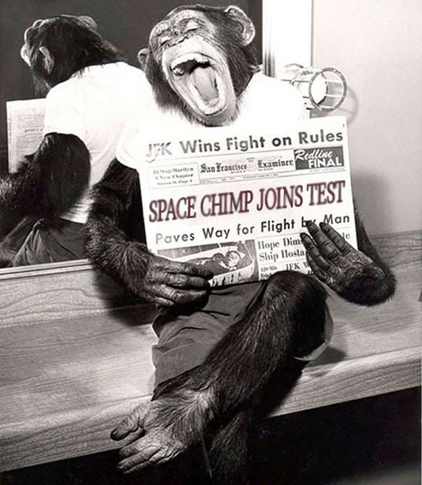TEST Chimp.png