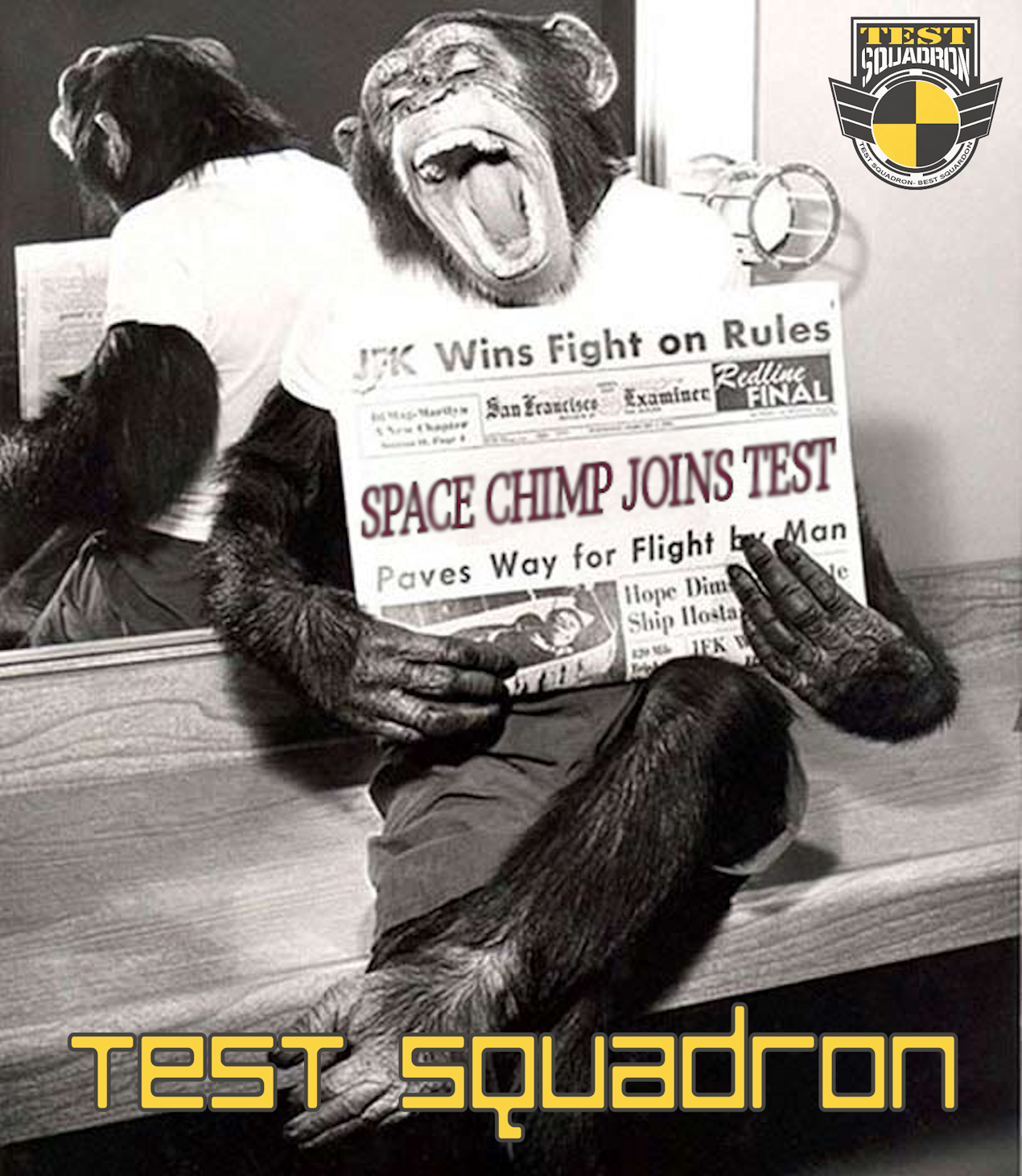 TEST Chimp1.png