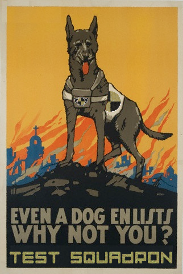 Test Squadron Dog.png