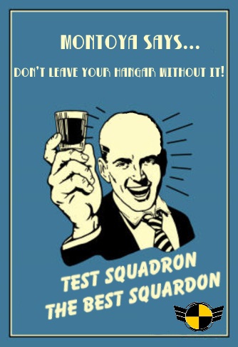 Test Squardron Vintage 2.jpg