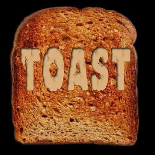 Toast-logo.jpg