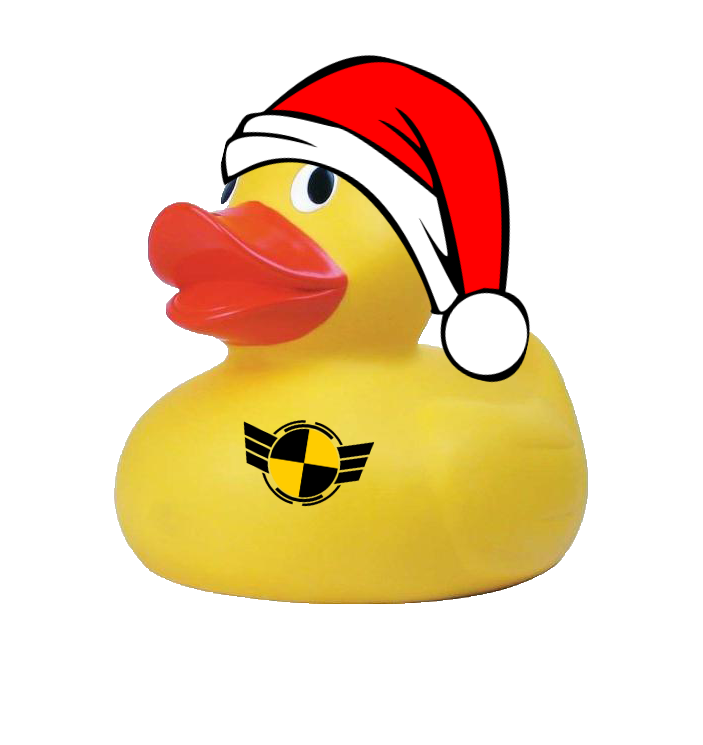 xmas duck.png