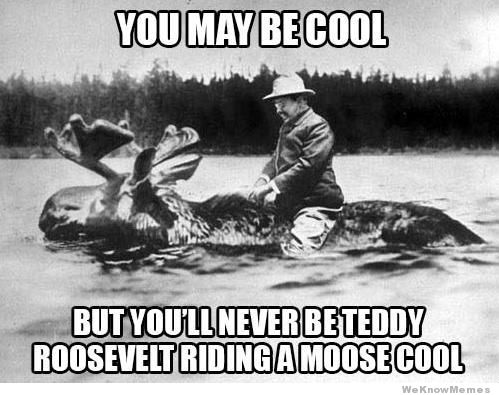 youll-never-be-teddy-roosevelt-riding-a-moose-cool.jpg