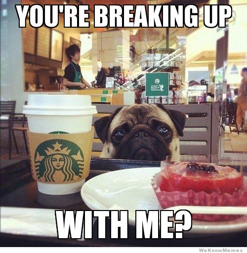 youre-breaking-up-with-me-pug.jpg