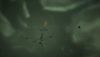 c3.png