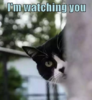 1745836986294.png