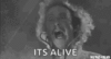 1749026808848.gif