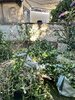IMG_2002.JPEG