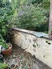 IMG_2003.JPEG