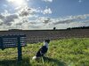 IMG_2037.JPEG