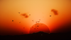 WMK_StarCitizen_2026-03-28_19-48-17_790.png