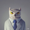 Owl Avatar.jpg