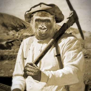 Monkey mining. Обезьяна npc. Обезьяны вов. Мертвые копи подземелье. Мертвые копи подземелье.