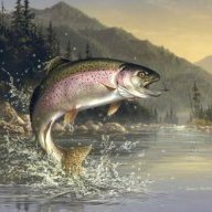 MR trout