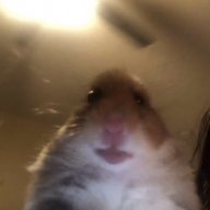 SaltedPeanuts