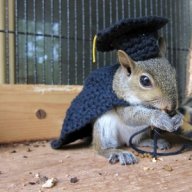 An Educated Squirrel