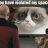 Loquacious Seven